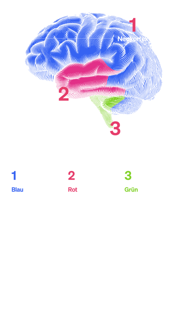 Schaubild genetisch veranlagter Schwerpunkte im Triune Brain differenziert in drei Farben
